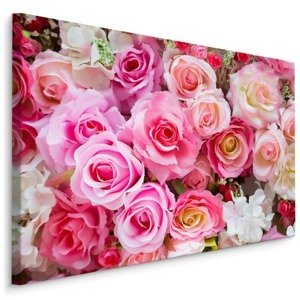 Plátno 3D Vícebarevné Růže Varianta: 100x70