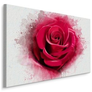 Plátno Červená Růže Varianta: 70x50