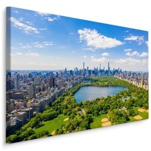 Plátno Letecký Pohled Na Central Park V New Yorku Varianta: 100x70