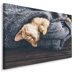 MyBestHome BOX Plátno Spící Kotě Varianta: 100x70