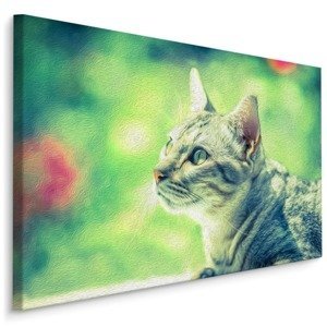 MyBestHome BOX Plátno Kočka na Zeleném Pozadí Varianta: 70x50