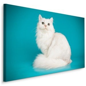 MyBestHome BOX Plátno Bílá Kočka Na Modrém Pozadí Varianta: 100x70