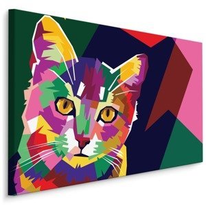 MyBestHome BOX Plátno Barevná Abstraktní Kočka Varianta: 70x50