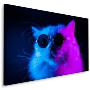 MyBestHome BOX Plátno Kočka Se Slunečními Brýlemi Varianta: 100x70