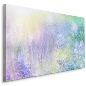 Plátno Levandule Malovaná Akvarelem Varianta: 40x30