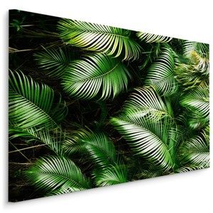 MyBestHome BOX Plátno Zelené Palmové Listy Varianta: 30x20