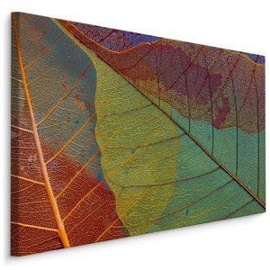 MyBestHome BOX Plátno Barevné Listí V Makro Měřítku Varianta: 100x70