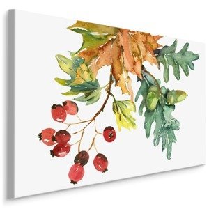 MyBestHome BOX Plátno Podzimní Listí A Ovoce Malované Akvarelem Varianta: 70x50