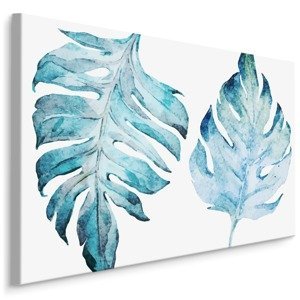MyBestHome BOX Plátno Modré Listy Monstera Malované Akvarelem Varianta: 100x70