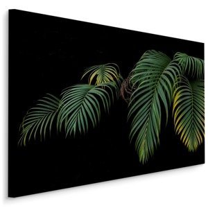 MyBestHome BOX Plátno Tropické Palmové Listy Na Černém Pozadí Varianta: 120x80