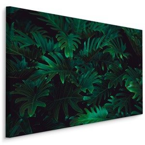 MyBestHome BOX Plátno Tropické Kapradinové Keře Varianta: 100x70