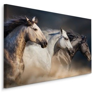 MyBestHome BOX Plátno Tři Koně Ve Cvalu Varianta: 100x70
