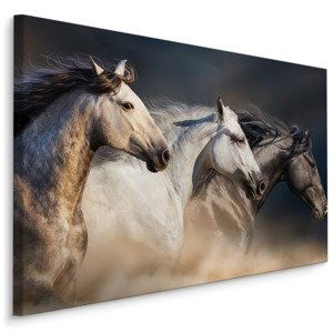 MyBestHome BOX Plátno Tři Koně Ve Cvalu Varianta: 90x60