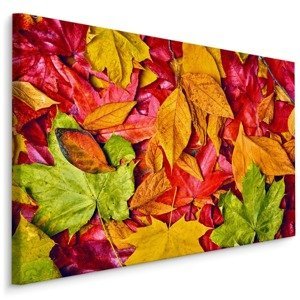 MyBestHome BOX Plátno Listy V Podzimních Barvách Varianta: 100x70