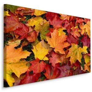 MyBestHome BOX Plátno Javorové Listy V Podzimních Barvách Varianta: 120x80
