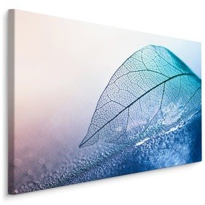 MyBestHome BOX Plátno List V Makro Měřítku V Modrých Odstínech Varianta: 100x70