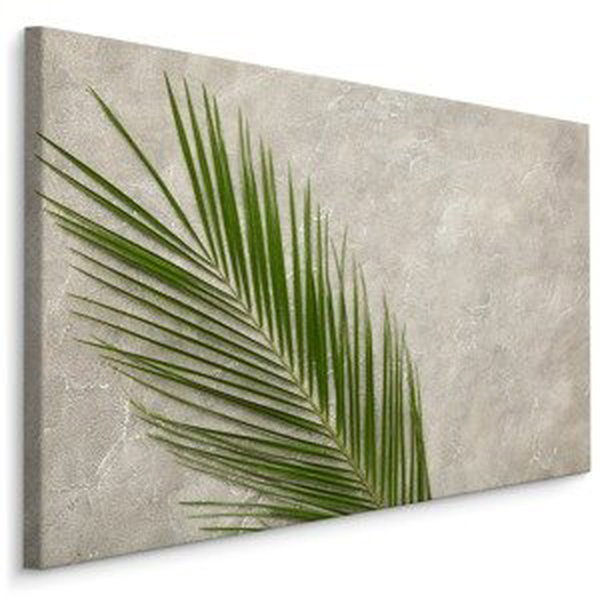 MyBestHome BOX Plátno Palmový List Na Betonovém Pozadí Varianta: 100x70