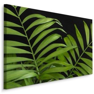 MyBestHome BOX Plátno Zelené Tropické Listy Na Černém Pozadí Varianta: 120x80