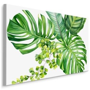 MyBestHome BOX Plátno Zelené Exotické Listy Malované Akvarelem Varianta: 120x80