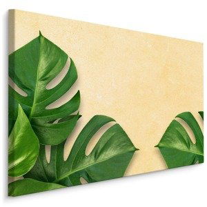 MyBestHome BOX Plátno Monstera Listy Na Béžovém Pozadí Varianta: 100x70