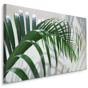 MyBestHome BOX Plátno Zelený Palmový List S 3D Efektem Varianta: 100x70