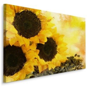 Plátno Slunečnice Malované Akvarelem Varianta: 120x80
