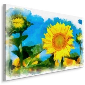 Plátno Slunečnice Malované Akvarelem I. Varianta: 100x70