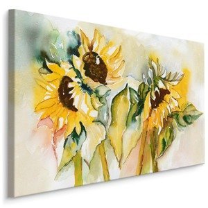 Plátno Akvarel Květ Slunečnice II. Varianta: 100x70