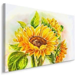 Plátno Akvarel Květ Slunečnice I. Varianta: 120x80