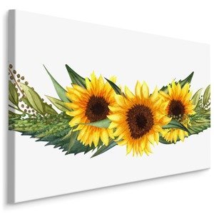 Plátno Slunečnice Se Zelenými Listy Varianta: 30x20