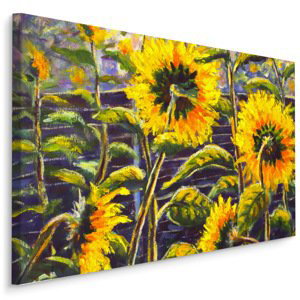Plátno Květy Slunečnice Jako Malované I. Varianta: 100x70