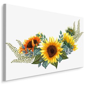 Plátno Slunečnice S Listy Na Bílém Pozadí Varianta: 120x80