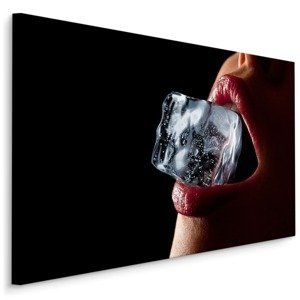 MyBestHome BOX Plátno Ice II. Varianta: 100x70