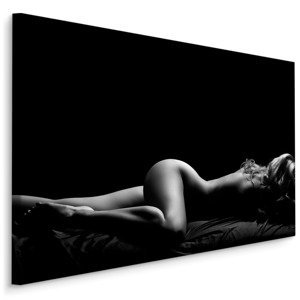 MyBestHome BOX Plátno Erotica Varianta: 120x80