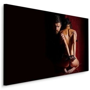 MyBestHome BOX Plátno Hidden Desire Varianta: 100x70