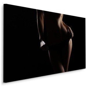 MyBestHome BOX Plátno Night Woman Varianta: 100x70