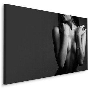 MyBestHome BOX Plátno Sexy Woman I. Varianta: 120x80