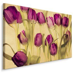 Plátno Tulipány V Retro Stylu Varianta: 90x60