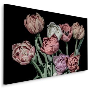 Plátno Pastelové Tulipány Na Černém Pozadí Varianta: 100x70