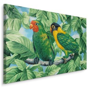 MyBestHome BOX Plátno Krásné Barevné Papoušky Varianta: 100x70