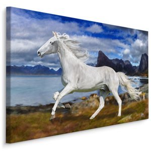 MyBestHome BOX Plátno Kůň Ve Cvalu Varianta: 90x60