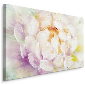 Plátno Malované Květy Pivoňky Varianta: 40x30