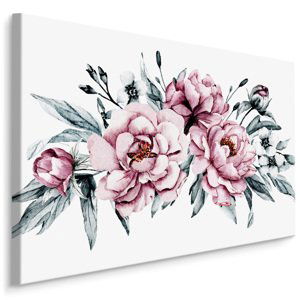 Plátno Květy Pivoňky Varianta: 100x70