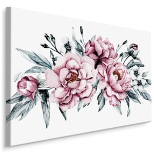 Plátno Květy Pivoňky Varianta: 120x80