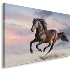 MyBestHome BOX Plátno Kůň Ve Cvalu Varianta: 100x70
