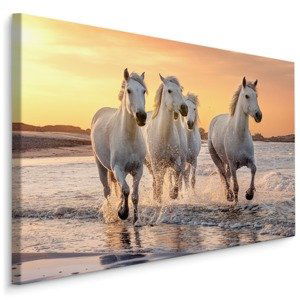 MyBestHome BOX Plátno Koně U Středozemního Moře Varianta: 90x60