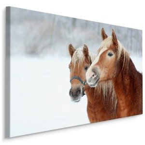 MyBestHome BOX Plátno Koně Ve Sněhu Varianta: 30x20