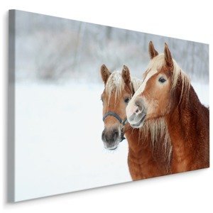 MyBestHome BOX Plátno Koně Ve Sněhu Varianta: 70x50