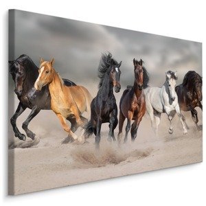 MyBestHome BOX Plátno Koně U Moře Varianta: 70x50