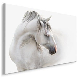MyBestHome BOX Plátno Bílý Kůň V Mlze Varianta: 100x70